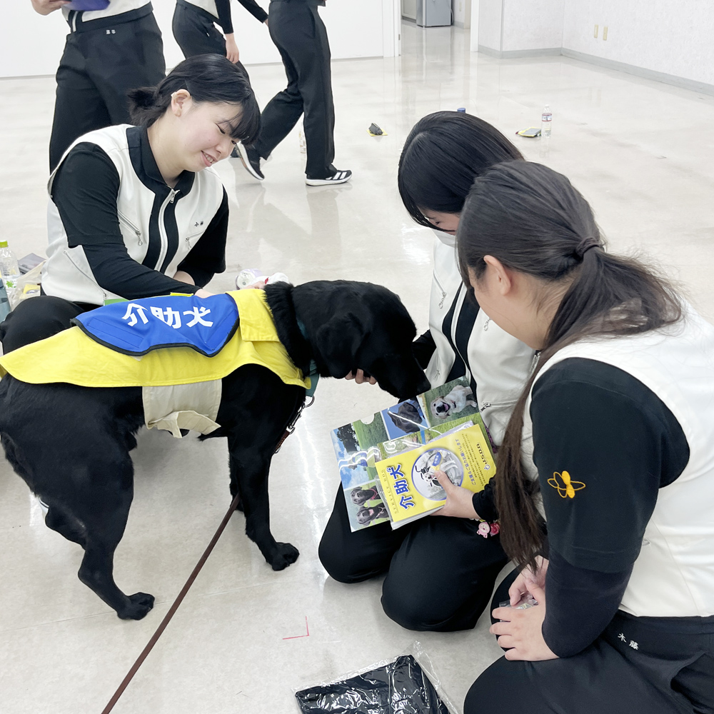 ☆介助犬セミナー☆